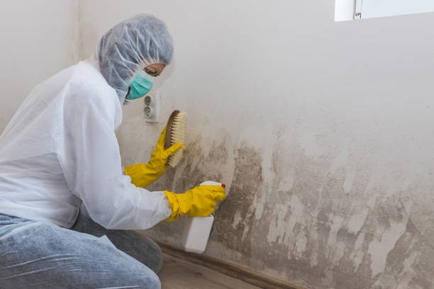 Mold Remediation for Vacation Homes in Philipsburg, PA