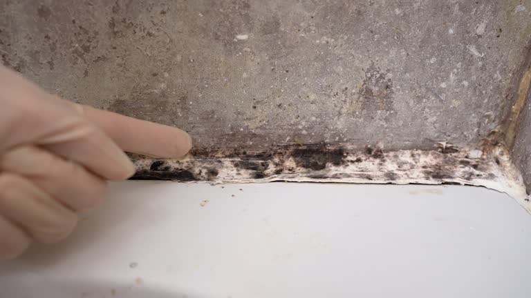 Best Emergency Mold Remediation  in Philipsburg, PA